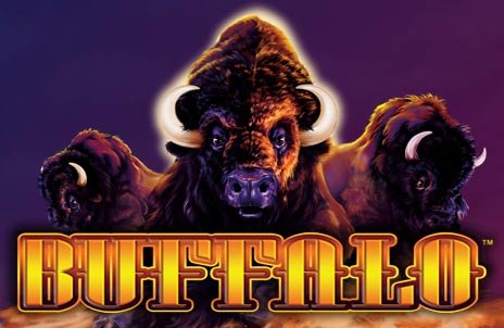 Buffalo