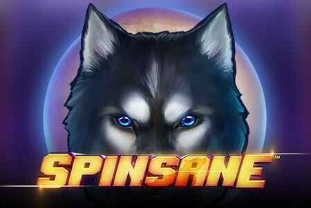 Spinsane